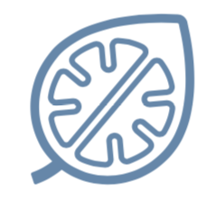 ConnectPsychServices Logo